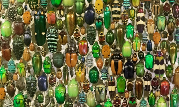 040121_diverse3