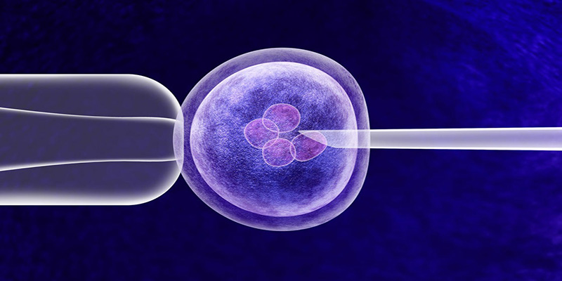 phuong-phap-ivf